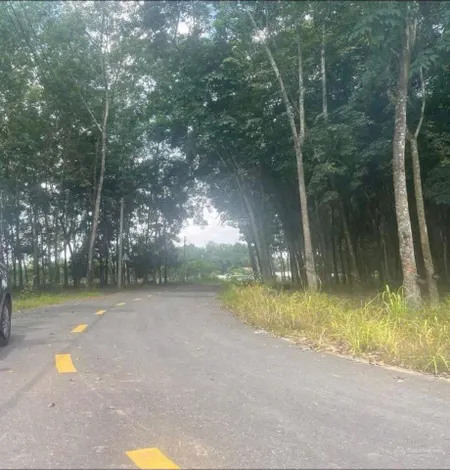 Chính chủ cần tiền bán gấp lô đất skc đóng 1 lần rẻ nhất tại tân uyên