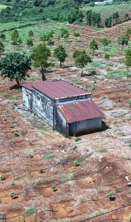 💥 2,7ha cà phê đường nhựa cách Mặt tiền Hồ Chí Minh 300m- chỉ 2tỷ/hA