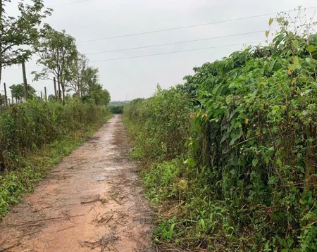CHỦ CẦN TIỀN – BÁN GẤP LÔ ĐẤT HẺM 126 PHẠM HÙNG – Ô TÔ THÔNG TRƯƠNG VĨNH KÝ