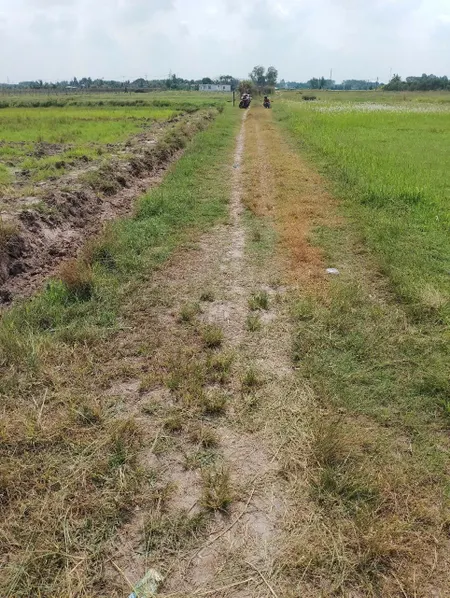 (S750) Đất 1/ Đoàn Thị Mối, xã Nhuận Đức, dt 1.756m2, giá 1 tỷ 900