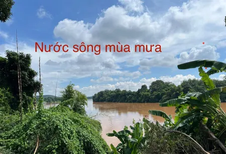 Bán đất mặt tiền sông đồng nai giá 1,5 triệu/m2 có sổ đỏ đất cây lâu năm và thổ cư