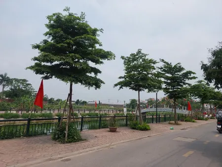 – Sổ đỏ chính chủ, mua ở ngay
 Chính chủ gửi bán mảnh đất 55m² tại VIÊN NGOẠI, Đặng Xá – đường Ỷ Lan.