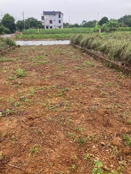 Đât tdc hoa lạc vi trí đẹp nhất.giáp tuyến metro vǎn cao hoa lac
