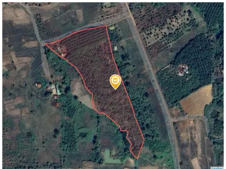 Bán đất 25000m² giá 6.8 tỷ Xã Ea Wy