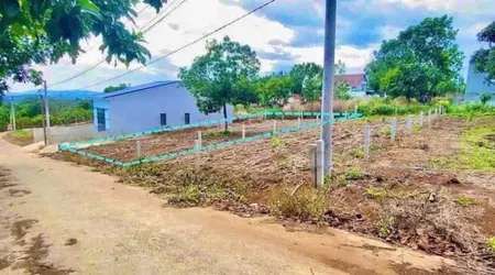 Đất nền tại đông thanh có 13m mặt tiền đường, view thông và có cây bơ