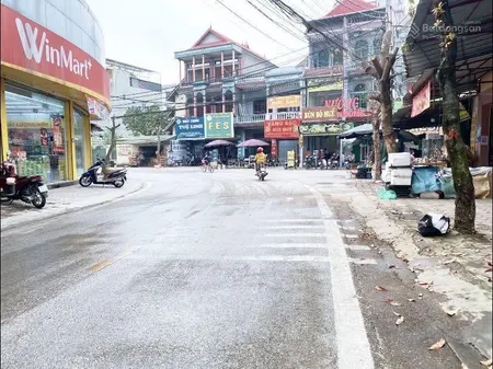 Mặt tiền quyền lực 12,5m/ 261m2, full thổ cư, đường thông, ô tô ngủ trong đất. kim nỗ, đông anh, hn