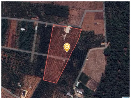 Bán nhà 15881m² có 300m2 thổ cư ngang 100m giá 11.5 tỷ Xã Hòa Hội