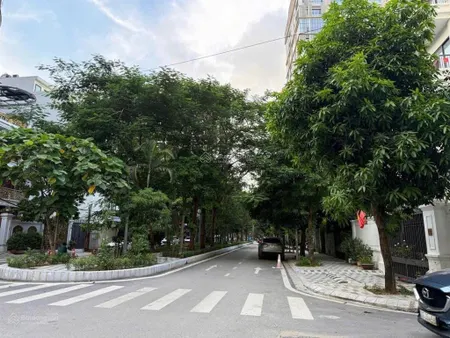Bán biệt thự vườn đào mặt vườn hoa 285m2 mt 15m giá đầu tư 456tr/m( 130 tỷ) sẵn sổ gd ngay