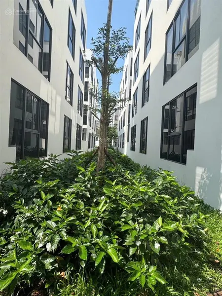 Chính chủ bán a1.2 liền kề thanh hà mường thanh, góc vườn hoa, giá đầu tư.