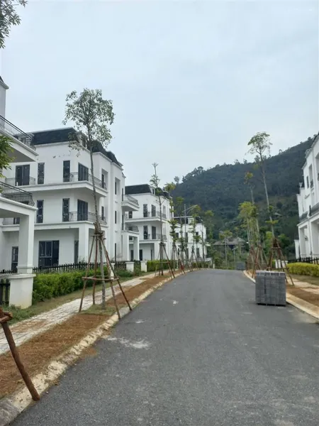 Chính chủ bán biệt thự hướng đông nam view triệu đô để ở/nghỉ dưỡng tuyệt vời. 0971 987 ***
