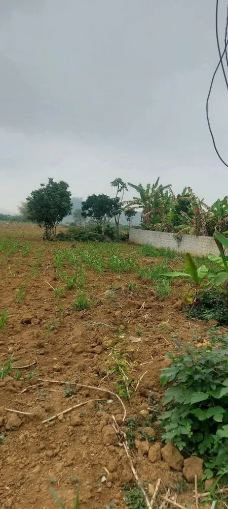Bán đất 590m² ngang 10m giá 600 triệu Xã Hà Long