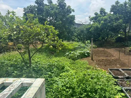 CHÍNH CHỦ CẦN BÁN  ĐẤT TẶNG NHÀ MẶT TIỀN NGUYỄN ĐÌNH CHIỂU – P.1, BẢO LỘC, LÂM ĐỒNG