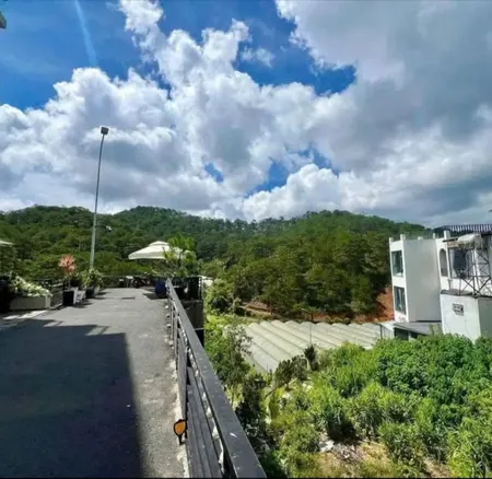 BÁN GẤP ĐẤT BIỆT THỰ VIEW RỪNG THÔNG ĐẸP Đường Hoàng Hoa Thám – P.10 – TP. Đà Lạt Giá chỉ 8.3 TỶ