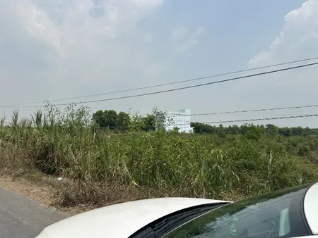 Bán đất mặt tiền đường Trần Văn Trà 100x100m Bình Phong Thạnh- Long An