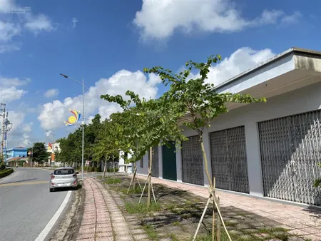 Bán kho, nhà xưởng tại thị trấn tiền hải, tiền hải, thái bình, 14,5 tỷ, 6000 m2 hot