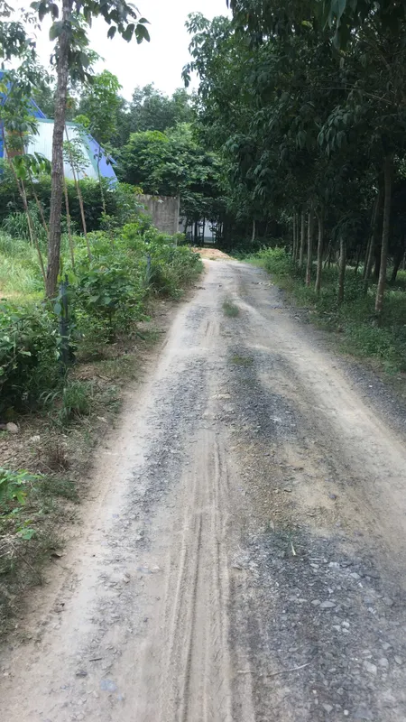 Cần bán - chính chủ