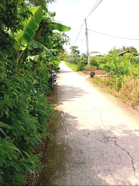 B.á.n (10x47) đất thổ, nở hậu, ôtô cặp kênh Trần Văn Dõng - ngã tư Bình Ân, Gò Công Đông, Tiền Giang cũ
