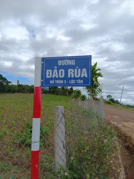 BÁN KHU NGHĨ DƯỠNG ĐẢO RÙA - GIÁP HỒ BẢO LỘC 1894M