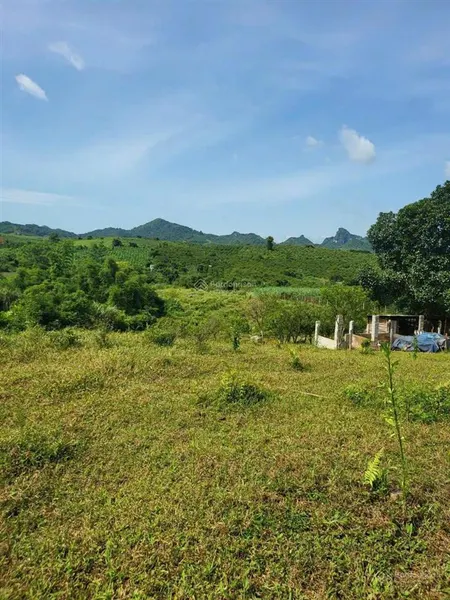 Chính chủ gửi lô đất 1,7ha tại cao phong, hòa bình, giá chỉ 520n/m2, thế cao, view thoáng, bám suối