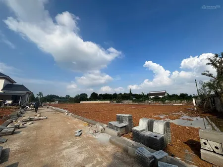 Phân khu 58 lô hàng f0 mới ra, ngay trục đường chính giá chỉ từ 3x tr/m2