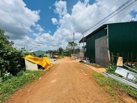 SIÊU PHẨM ĐẤT ĐỒI THÔNG – 2 MẶT TIỀN CỰC ĐẸP, CÁCH LÝ THÁI TỔ CHỈ 500M