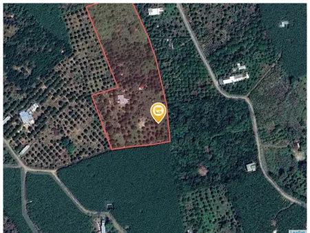 Bán đất 3,280,6m² ngang 40m giá 1.8 tỷ Xã Phú Hòa