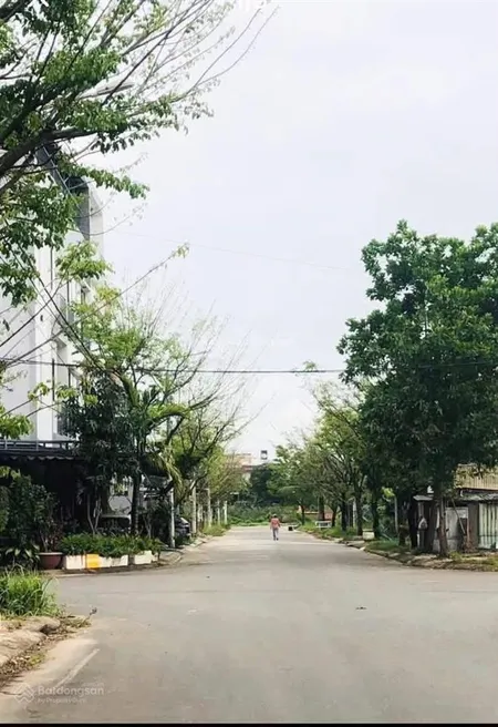 Hàng vip bàu mạc 21 đông nam sạch đẹp giá tốt