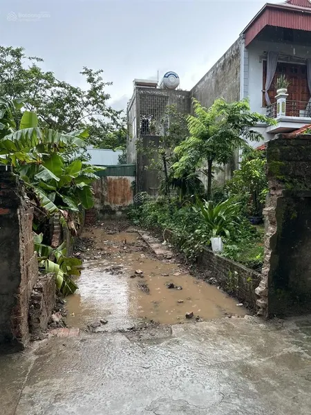 Bán đất đẹp 48.5m nội am, liên ninh, thanh trì, hà nội giá 4,97 tỷ