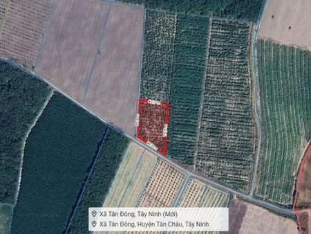 ⭐️ Đất 2.2 sào Mít SHR HXT – DT792 Tây Ninh