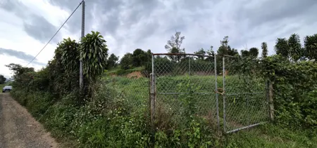 🌿 BÁN ĐẤT VƯỜN VIEW ĐỒI – GẦN CHÙA LINH QUY PHÁP ẤN – TRUNG TÂM LỘC THÀNH 🌿