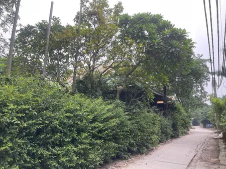 Chủ cần bán gấp, giá đầu tư 480m2 đất mặt tiền 44m ngọc thụy cạnh đường hồng tiến kéo dài, giá 76tỷ