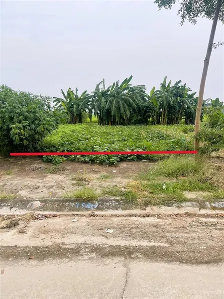 Chỉ 24 triệu/m2 lô đất biệt thự 195,5m2 mặt tiền 8,5m tại trung tâm công nghiệp ân thi, hưng yên