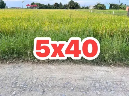 Bán đất 3905.9m² ngang 15m giá 2.9 tỷ Xã Hòa Khánh