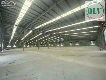 Cho Thuê Xưởng Diện Tích 23.000m2 KCN Cái Mép, Huyện Tân Thành, BRVT.
