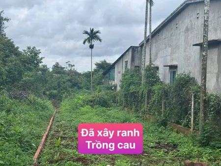 MỘT LÔ CHÂN DÀI HOÀ THUẬN - TÂN AN