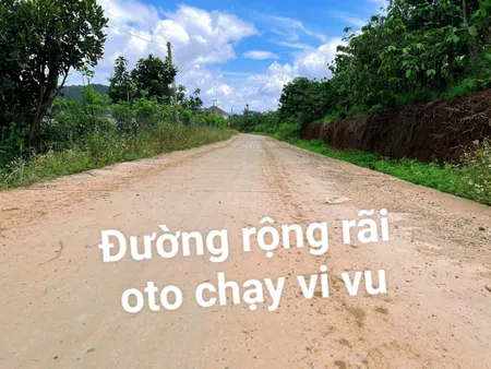 🌸 MỞ CỬA NHÌN RA ĐỒI THÔNG – MẢNH ĐẤT NHỎ, GIẤC MƠ LỚN GẦN ĐÀ LẠT - Chỉ 7xxtr 🌸