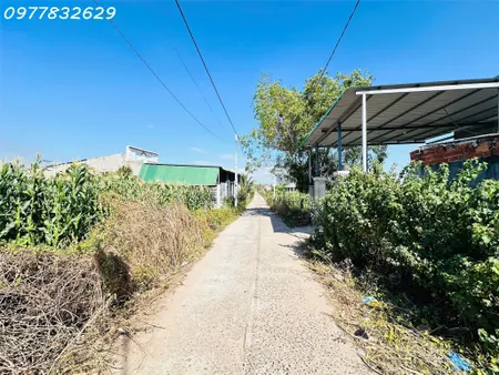 Bán 5m x 40m đất thổ cư Hẻm Nguyễn Thông, LaGi giá mềm gần Biển