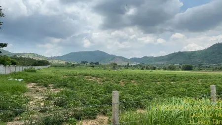 Nhà có miếng đất ở Bình Tân, ông bà để lại, mấy năm nay bận làm ăn xa nên không có về coi ngó gì.