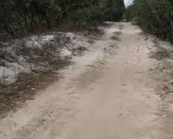 Đất này tui để lại cho thằng út, mà giờ nó chuyển vô Sài Gòn làm, không về nữa.