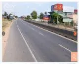 Mấy năm nay không làm nông nữa, đất bỏ trống, cỏ mọc cao ngang đầu.