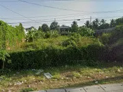 Tui có miếng đất trồng cây lâu năm ở Bình Tân, sát Quốc lộ 1A