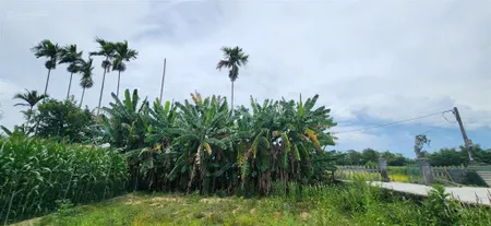 Bán lô đất vuông đẹp 354m2, mặt tiền rộng 12m view sông, đường ôtô cách phố cổ hội an chỉ 10' đi xe