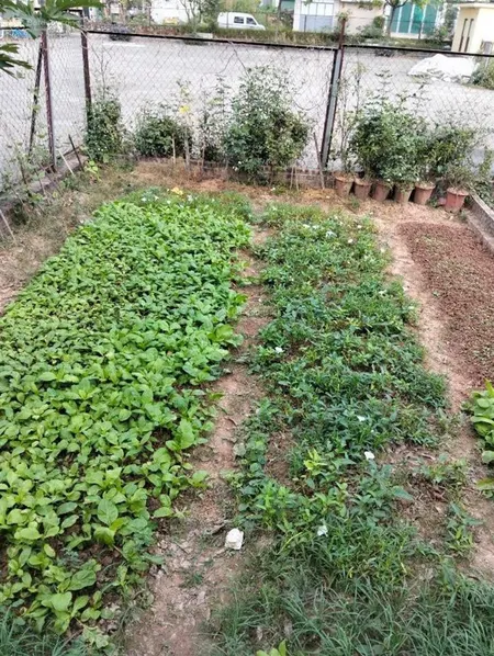 Đất đẹp 75m2 mt 4.5m nở hậu ngõ rộng gần ô tô tránh bồ đề long biên 7.5 tỷ
