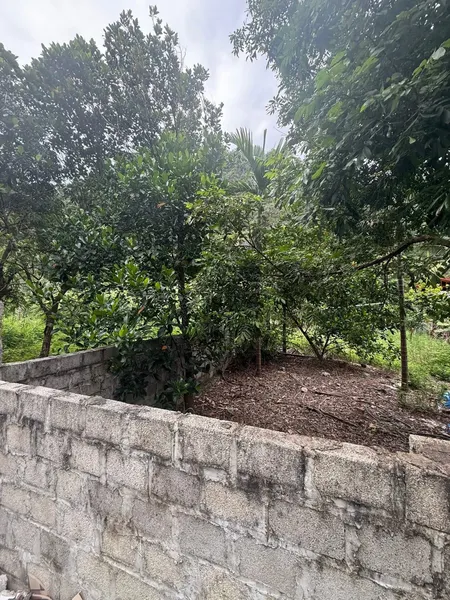 BÁN ĐẤT NGÕ 20 CAO XANH,HẠ LONG