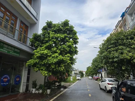 Bán 106m đất dãy TH12 khu đô thị tây hồ tùng bách quế võ. Cạnh KCN quế võ. Sau siêu thị dabaco. Phường quế võ bắc ninh