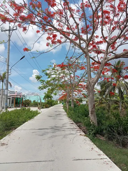 ĐẤT VƯỜN
