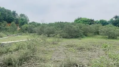 Chính chủ gửi nhờ bán lô đất 2.041,6m²  nằm ngay mặt tiền đường 30/4, trung tâm Long Đức, Trà Vinh.