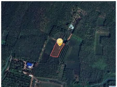 Bán đất 1782.4m² ngang 32m tại Xã Thanh An tphcm