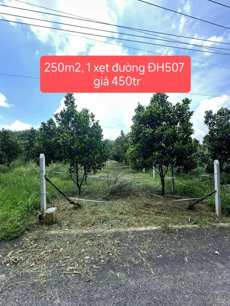 🔥 BÁN GẤP LÔ ĐẤT 250M² – GIÁ CHỈ 450 TRIỆU – MẶT TIỀN ĐƯỜNG NHỰA, 1 XẸT ĐH507 🔥