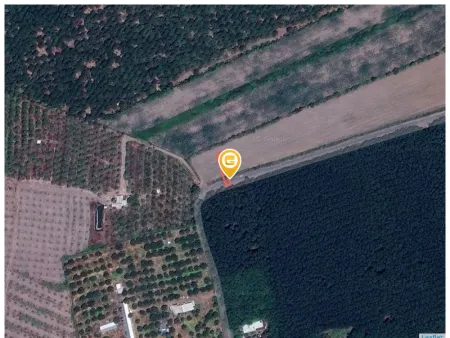 Bán đất 176.6m² ngang 5m giá 800 triệu Xã Tân Quan